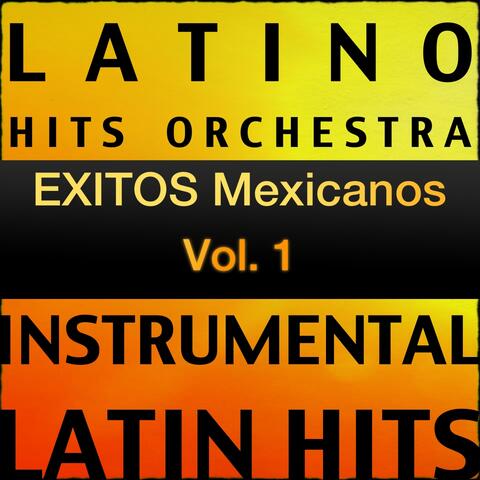 Exitos de Amandititita, Grupo Palomo y Otros