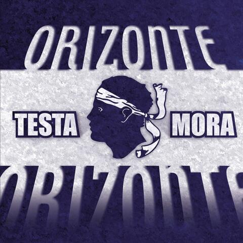 Testa mora