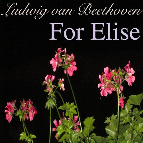 Beethoven: For Elise, WoO 59
