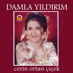 Alaçam