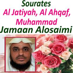 Sourate Al Jatiyah