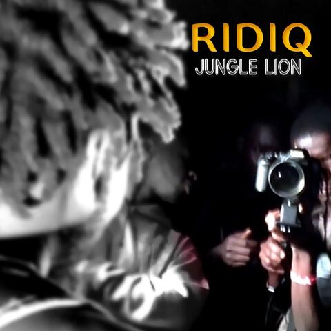 Jungle Lion