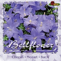 Orchestral Suite No.2 in B minor, BWV 1067 VII. Badinerie