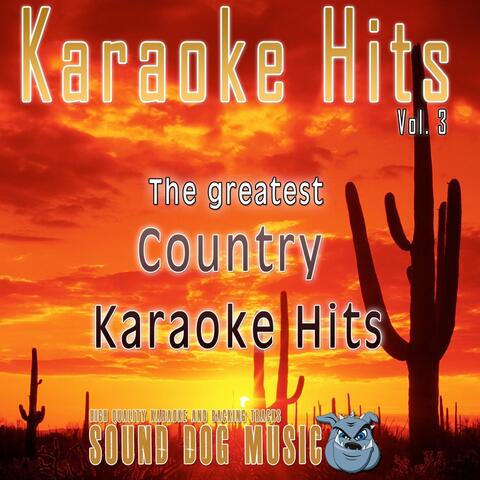 Karaoke Hits, Vol. 3