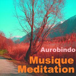 Musique meditation