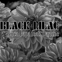 Black Lilac