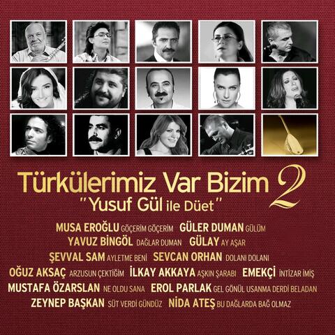 Türkülerimiz Var Bizim, Vol. 2