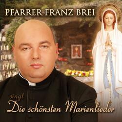 Meerstern, ich Dich grüße