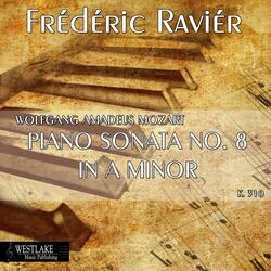 Piano Sonata No. 8 in A Minor, K. 310: II. Andante cantabile con expressione