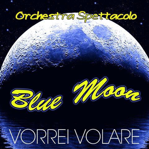 Vorrei volare