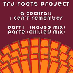 A Cocktail I Can't Remember, Pt. 2 (Chilled Mix)