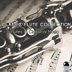 Nostalgia for Flute
