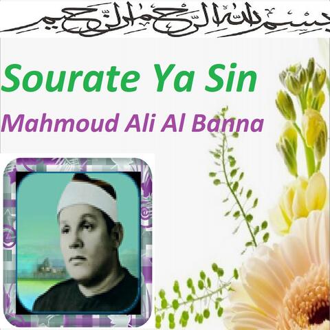 Sourate Ya Sin