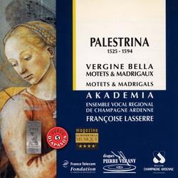 Le Vergine (Petrarque), primo librode madrigali 5v : Vergine bella... Vergine saggia...