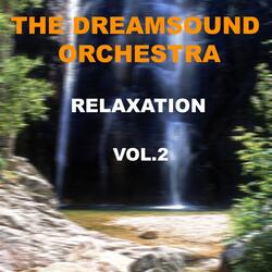 Dream Sound Mouv 6