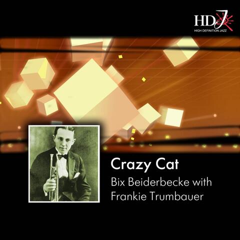 Crazy Cat