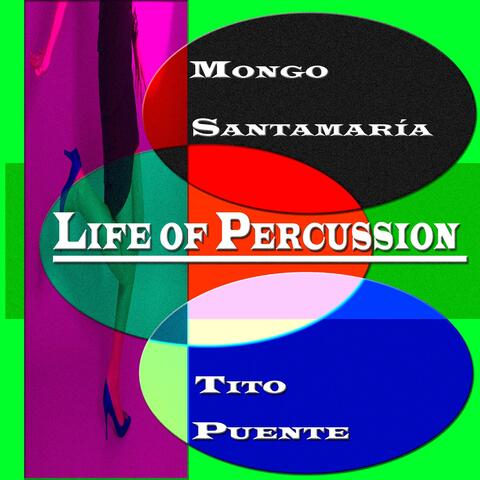 Life of Percussion
