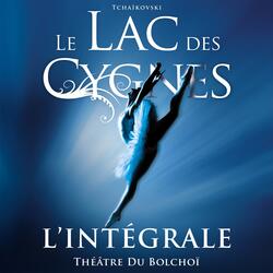 Le Lac des Cygnes, Op. 20, Act II: "Scène 2"