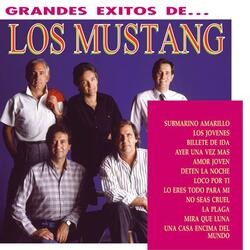 Los Jovenes