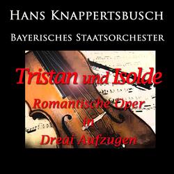 Tristan Und Isolde: Act II - "O sink hernieder, Nacht der Liebe"