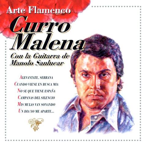 Arte Flamenco : Curro Malena