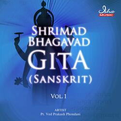 Bhagavad Gita, Pt. 4