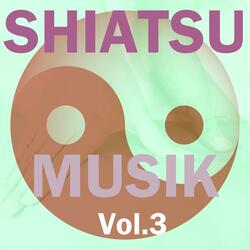 Shiatsu Musik, Vol. 3