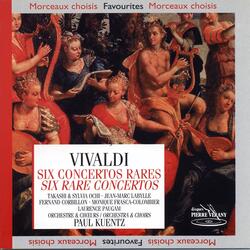 Concerto en ré mineur pour viole d'amour, R. 394 : Allegro