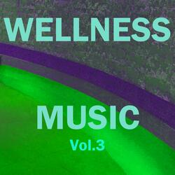 Wellness Music, Vol. 3