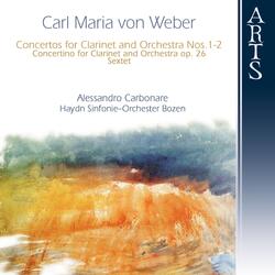 Concerto for Clarinet and Orchestra No. 1 in F Minor, Op. 73: I. Allegro