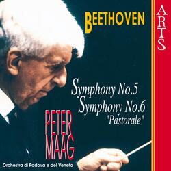 Symphony No. 6 Pastorale in F Major, Op. 68: III. Allegro