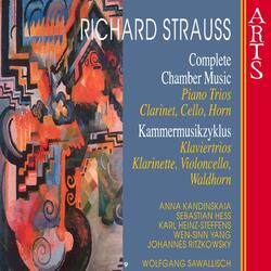Trio No. 2 für Klavier, Violine und Violoncello in D Major, Op. AV 53: I. Allegro moderato