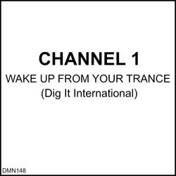 Wake Up from Your Trance