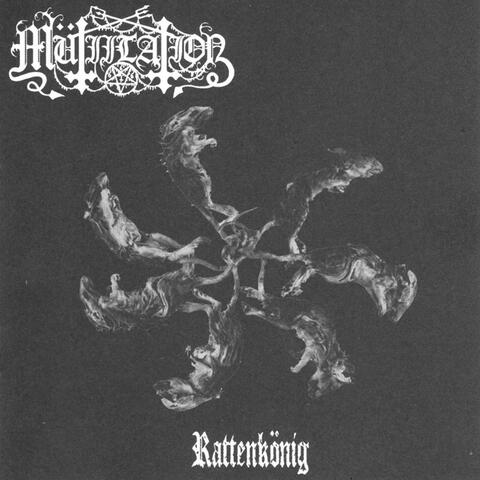 Rattenkönig