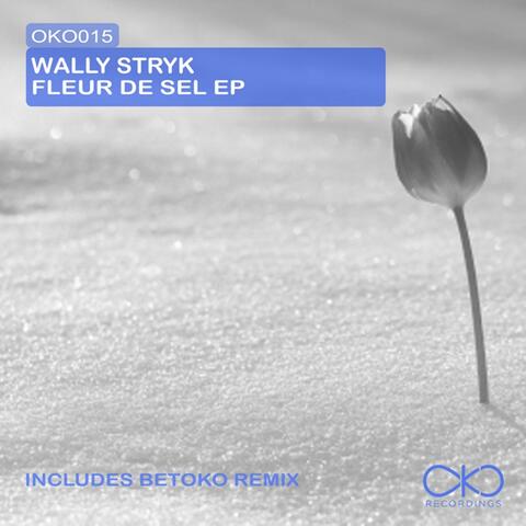Fleur De Sel EP