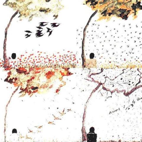 Spring, Summer, Autumn & Winter