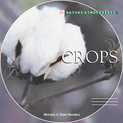 Nature Atmosphere: Crops