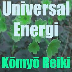 Universal energi