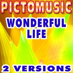 Wonderful Life