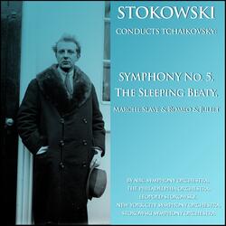 Symphony No. 5, in E Minor, Op. 64: IV. Finale.Andante maestoso.Allegro vivace