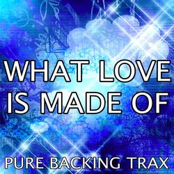 What Love Is Made of (Karaoke Version)