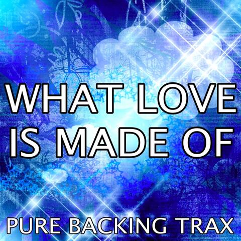 What Love Is Made of (Karaoke Version)