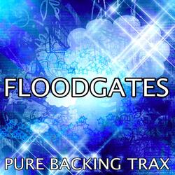 Floodgates (Karaoke Track)