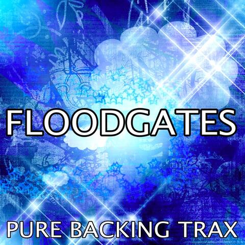 Floodgates (Karaoke Track)