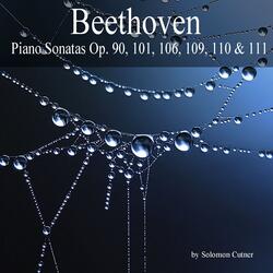 Piano Sonata No. 29 in B-Flat Major, Op. 106 "Hammerklavier": II. Scherzo, Assai vivace - Presto