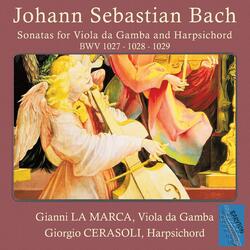 Viola da Gamba Sonata in G Minor, BWV 1029: I. Vivace