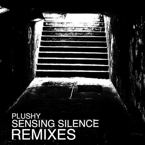 Sensing Silence Remixes