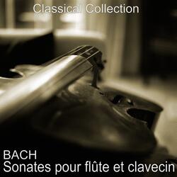 Sonate in G Minor, BWV 1020: III. Allegro