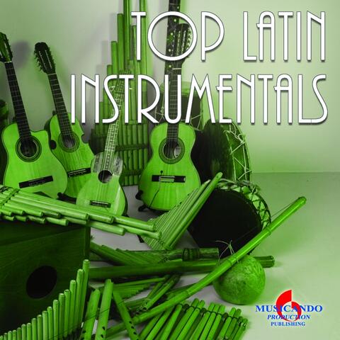 Top Hits Latin Instrumentals