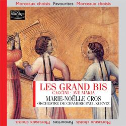 Concerto pour 3 hautbois et 3 violons in B-Flat Major, Twv 44/43: I. Allegro
